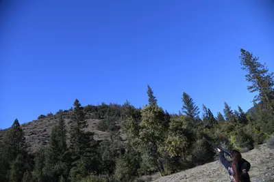 DSC_6495 (Large).JPG